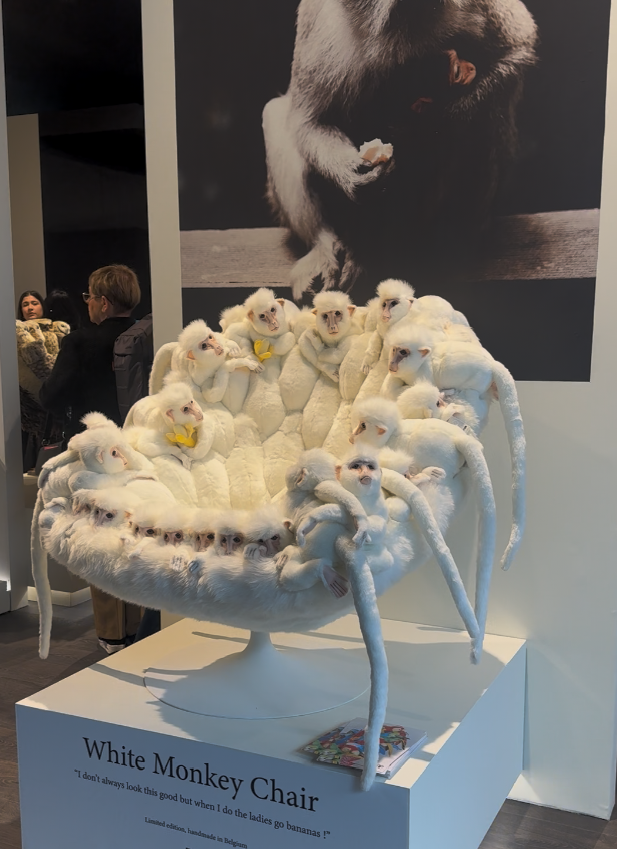 Sitting Pretty: Statement Chair Trends for 2025