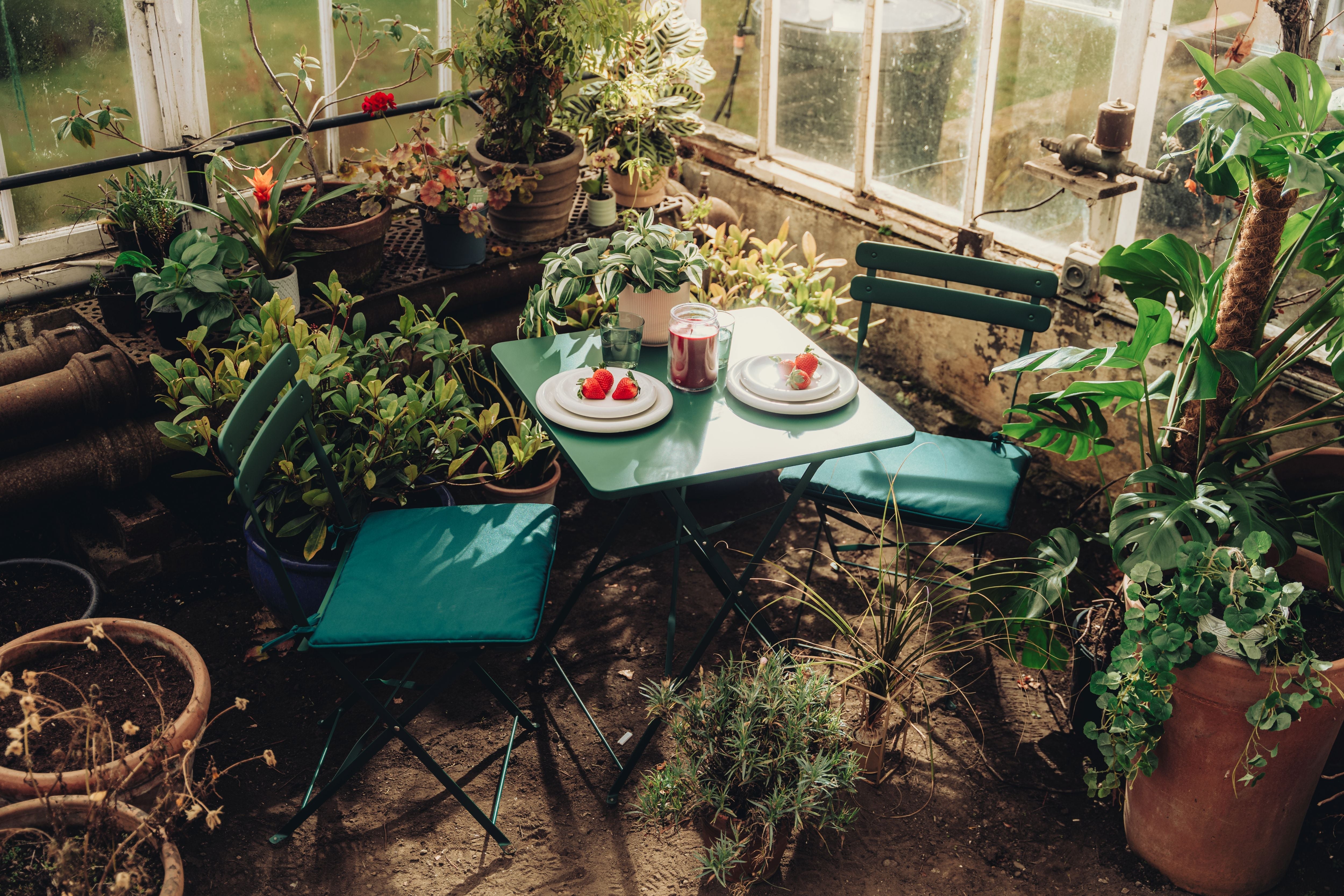 RHS National Gardening Week 2025
